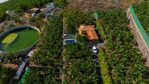 Complejorural-Casa-Fernando-Magica-Aerea-Tijarafe-LaPalma-retiro